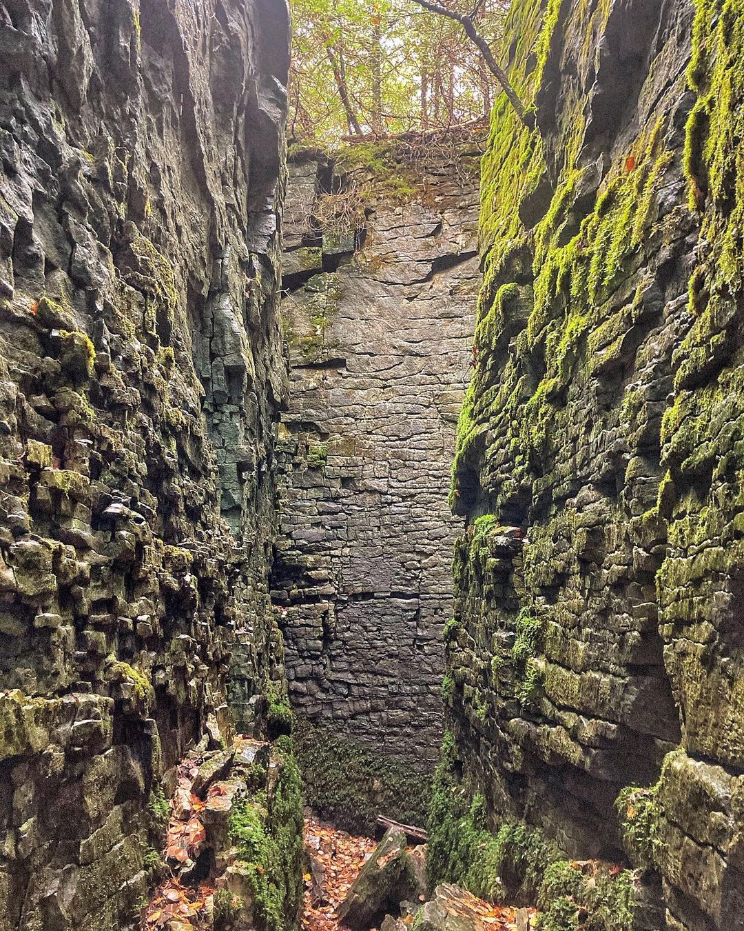 هزارتویی از درزها و شکاف‌های صخره‌ای در اونتاریو