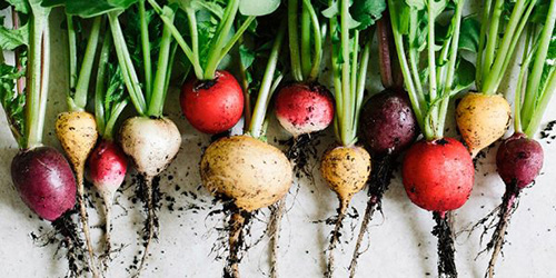 ۶ سالاد متنوع و خوشمزه با سبزیجات تازه بهاری