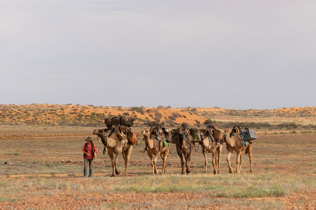 سفر ۵ هزار کیلومتری یک زن با چند شتر در صحرای استرالیا + عکس