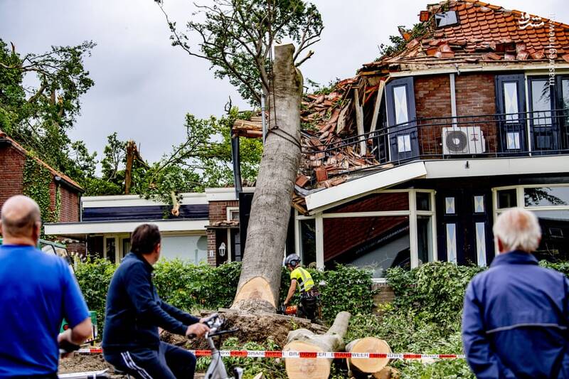 سقوط درختان بر روی خانه‌ها در هلند + عکس