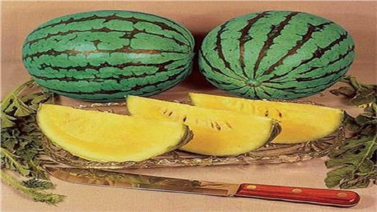 فوائد هندوانه زرد یا آناناسی که باید بدانید
