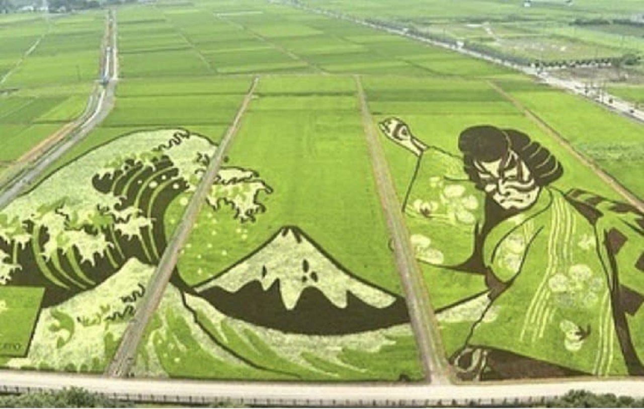 تصویرسازی جذاب در مزارع برنج ژاپن