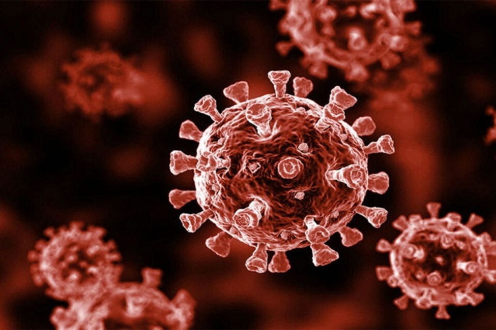 کرونا ویروسی به قدمت ۲۵ هزار سال