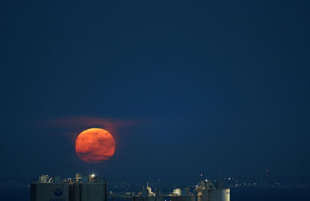 قرص کامل ماه آبی بر صحنه آسمان