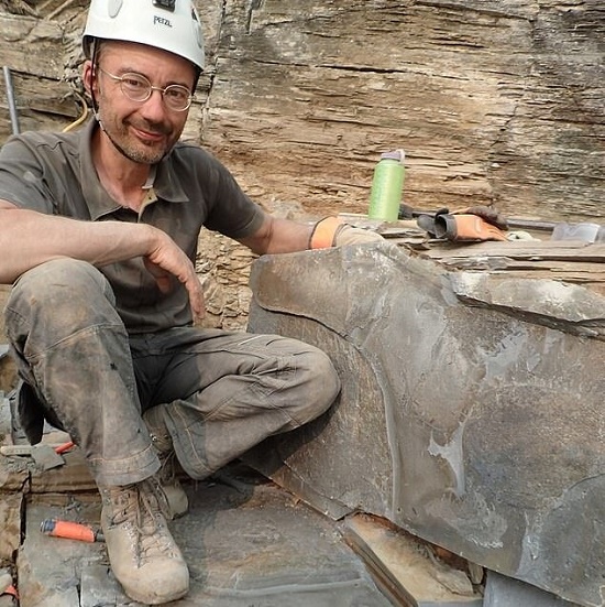 کشف گونه جدید بندپایانِ ۵۰۰ میلیون ساله!