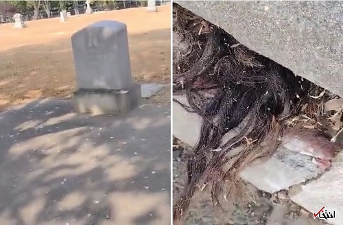 تصویر ترسناک از مو‌های بیرون‌‍زده از یک‌ قبر