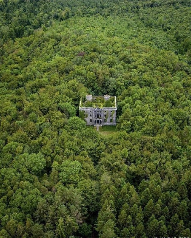 عمارتی متروکه در جنگل های ایرلند