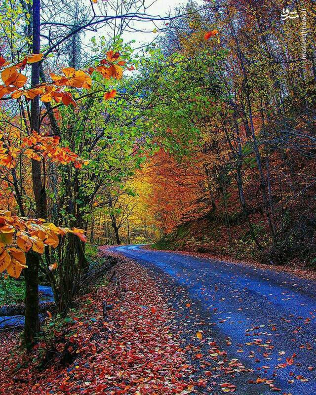 پاییز هزار رنگ روستای حیران+عکس