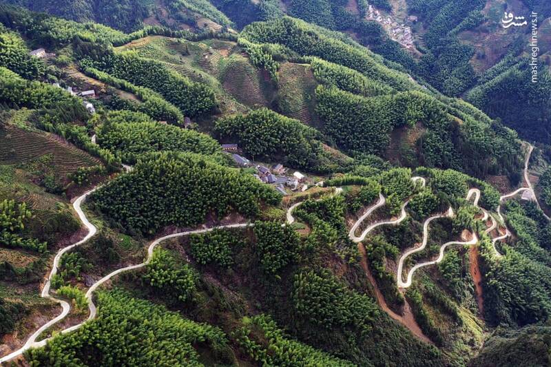 جاده‌ای مارپیچ در ارتفاعات چین + عکس