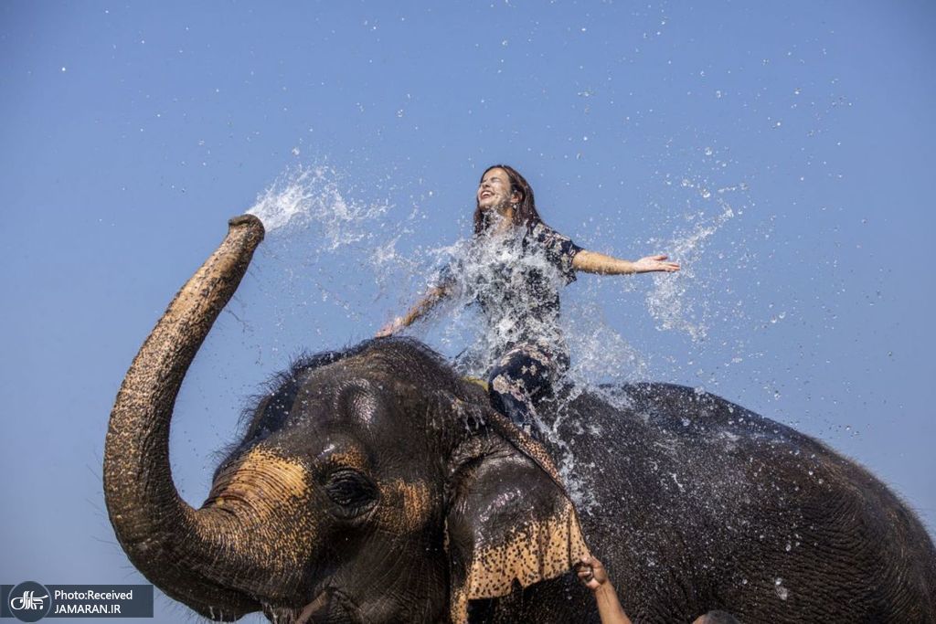 حمام کردن فیل در رودخانه راپتی نپال + عکس