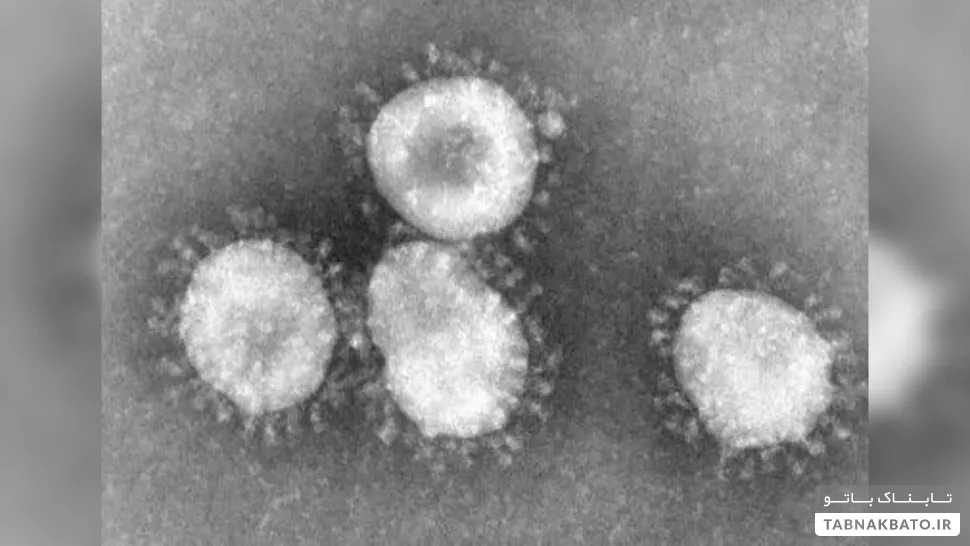 کشنده‌ترین ویروس‌های تاریخ بشر