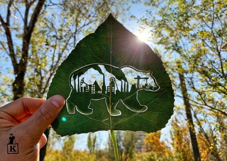 هنرمندی که به با برش طرح‌های روی برگ‌های پاییزی، حیات و جلوه دوباره‌ای به آنها می‌دهد
