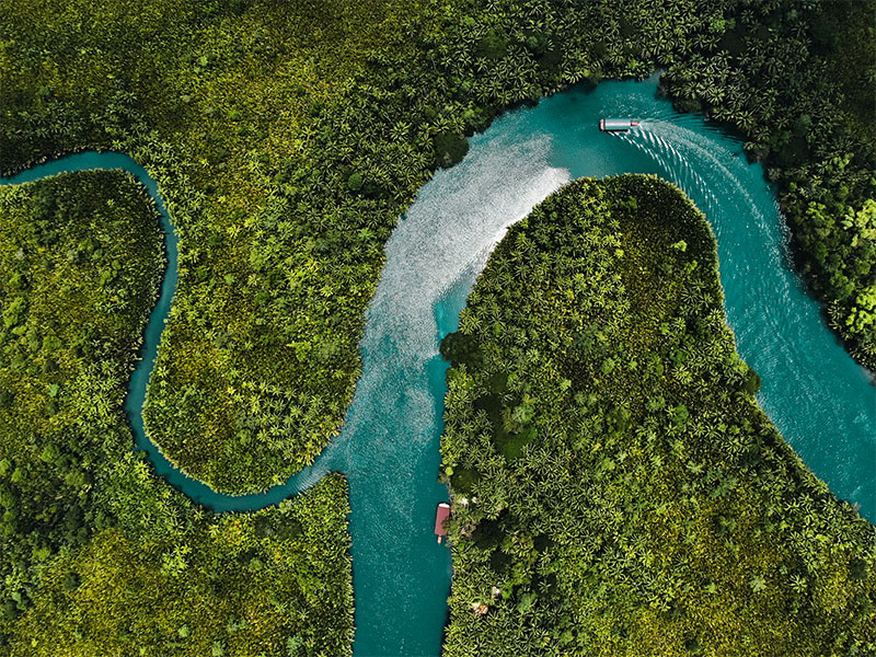 چرا رودخانه آمازون شگفت انگیز است؟