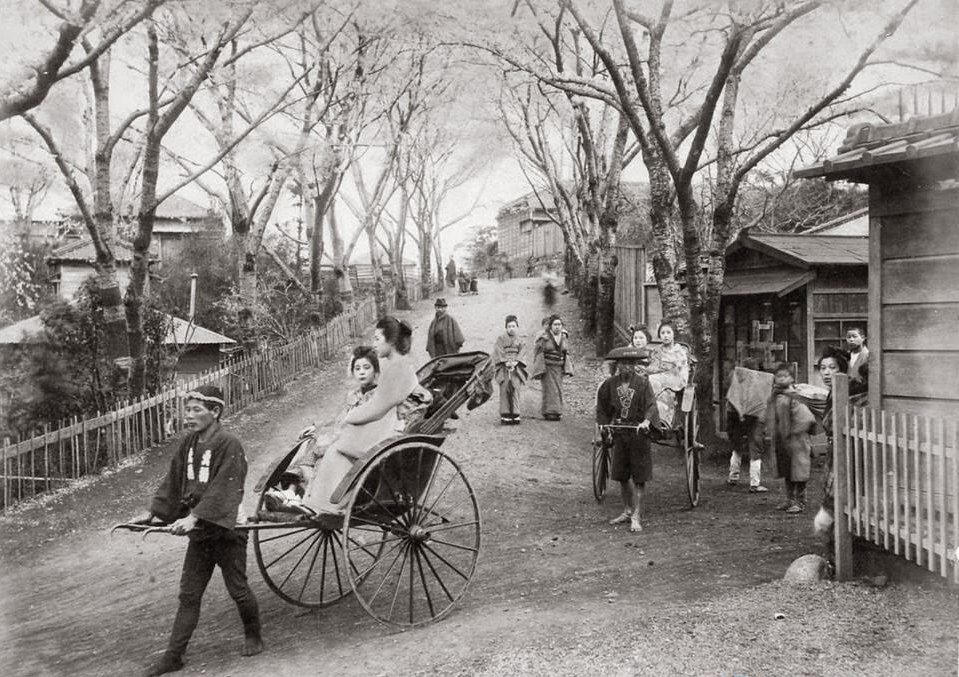 یک روز معمولی در شهر کیوتو در سال ۱۸۸۰