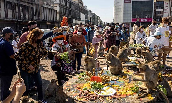 جشنواره بُخور بُخورِ میمون‌ها در تایلند