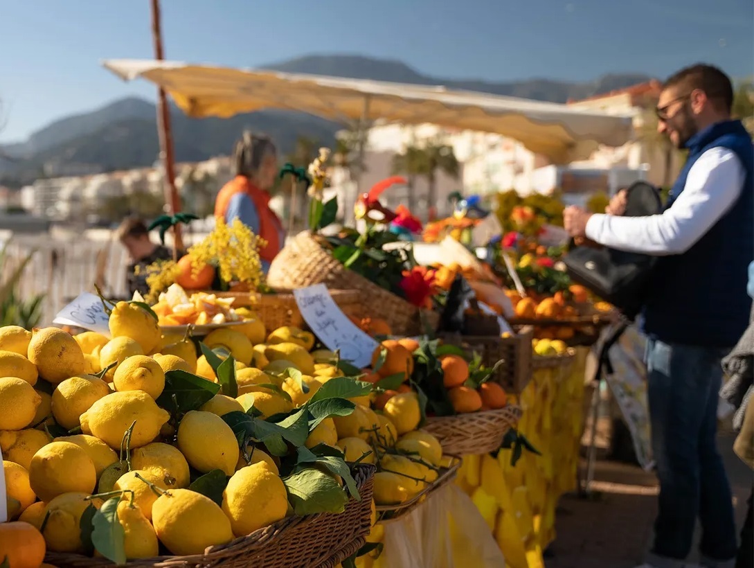 جشنواره لیموی فرانسه (عکس)/ مقامات به دنبال احیای صنعت لیمو کاری