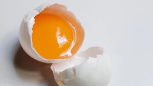 خوردن تخم مرغ خام مضر است؟