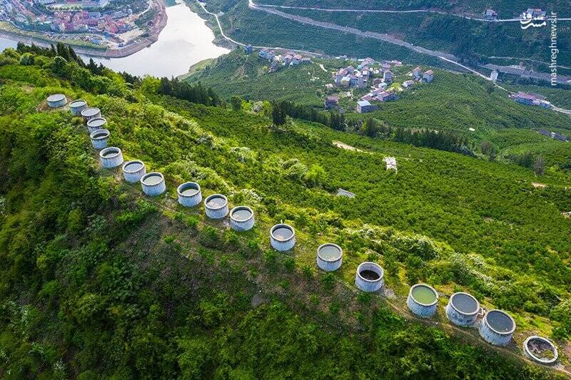 اقدام جالب چینی‌ها برای ذخیره آب باران