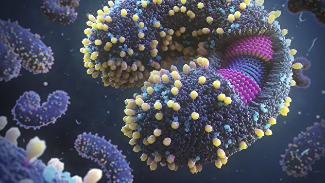 کشف هزاران ویروس جدید در اقیانوس ها!