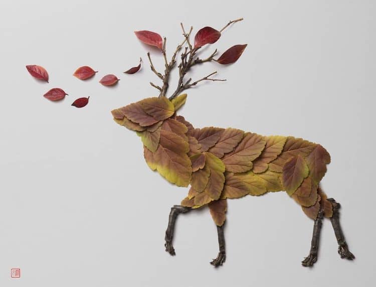 این هنرمند با برگ‌های و بقایای گیاهان روی زمین، پرتره‌های نفیسی از حیوانات و حشرات می‌سازد