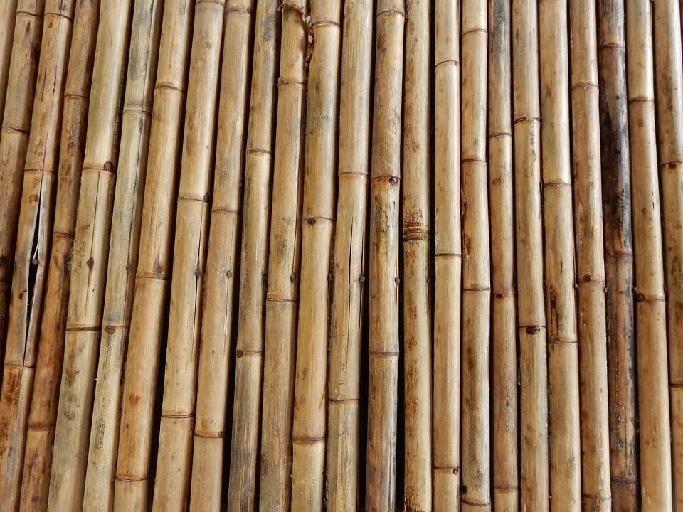 چوب‌های ضد موریانه + ۴ روش مقاوم‌سازی چوب در برابر موریانه (فرارو)