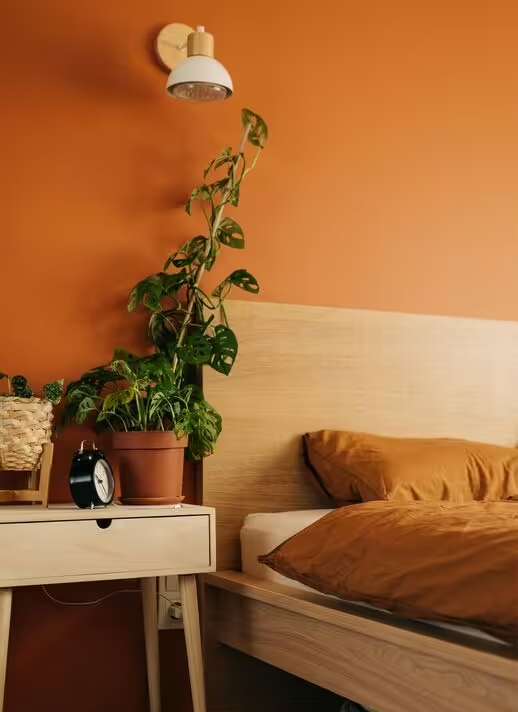۵ رنگ برتر برای دیوار اتاق خواب در سال ۲۰۲۳ (روزیاتو)