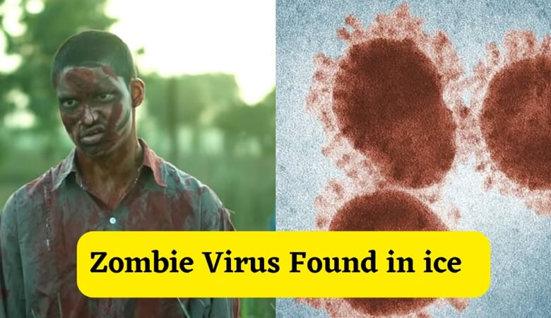 ویروس‌ زامبی چقدر برای انسان خطرناک است؟