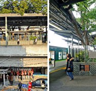 همزیستی مسالمت‌آمیز ایستگاه قطار ژاپن و درخت ۷۰۰ ساله