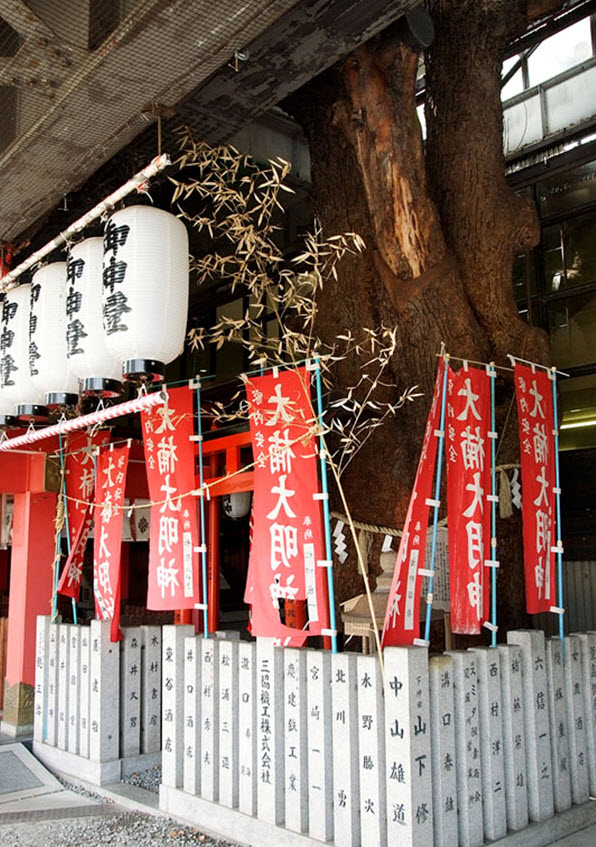 همزیستی مسالمت‌آمیز ایستگاه قطار ژاپن و درخت ۷۰۰ ساله(یک پزشک)