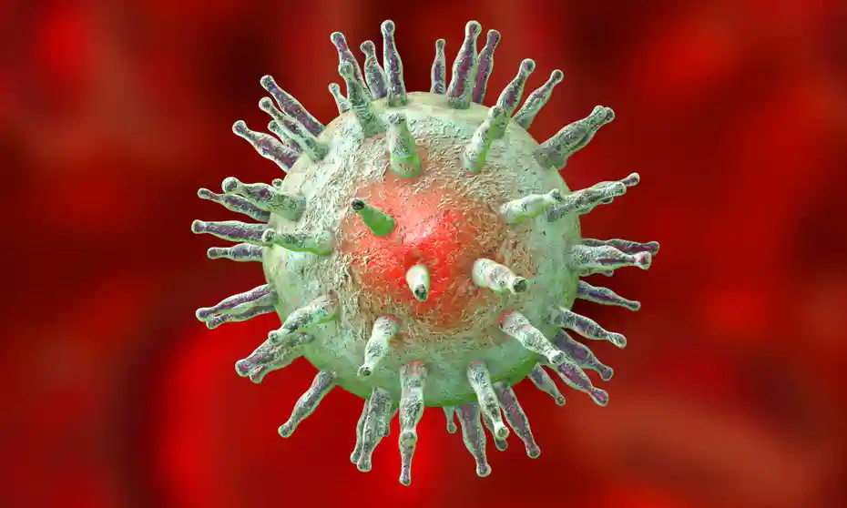 ویروس اپشتین-بار چیست و چقدر خطرناک است؟