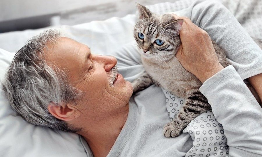 نگهداری گربه در خانه چه بلایی سر مردان می‌آورد؟