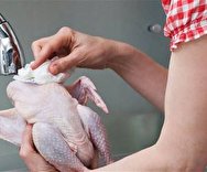 بهترین روش شستن و آلودگی‌زدایی از مرغ
