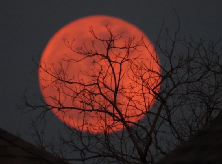 دیدنی‌ترین عکس‌ها از ماه گرفتگی (خسوف) کامل در سراسر جهان