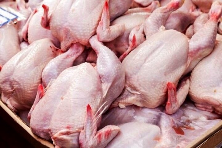 قیمت مرغ در خرده‌فروشی‌ها کاهش یافت