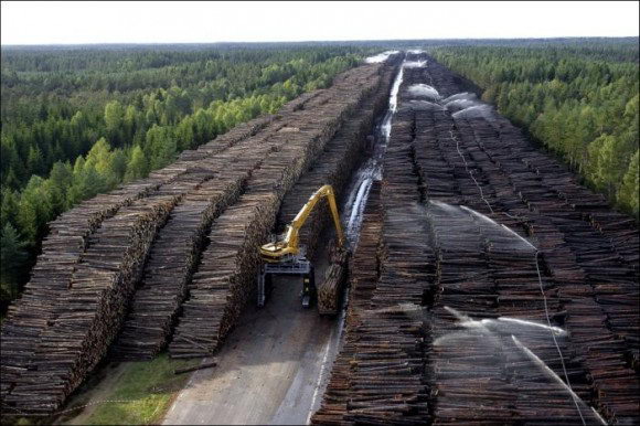 بزرگ‌ترین انبار چوب دنیا کجاست؟!