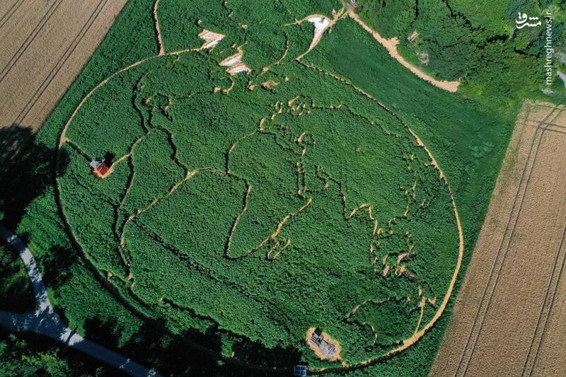 تصویر هوایی از نقاشی زیبا روی زمین کشاورزی