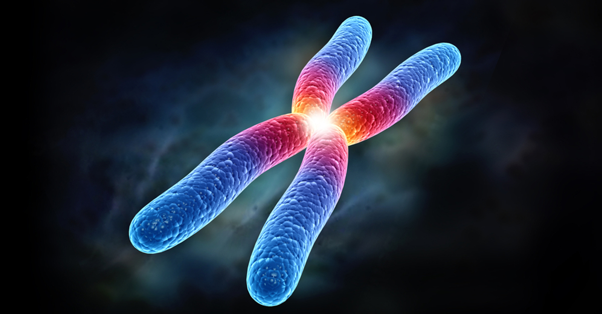از کروموزوم چه می‌دانیم؟
