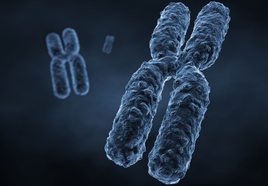 از کروموزوم چه می‌دانیم؟
