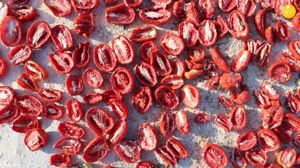 فرایند تماشایی خشک کردن گوجه فرنگی در ترکیه