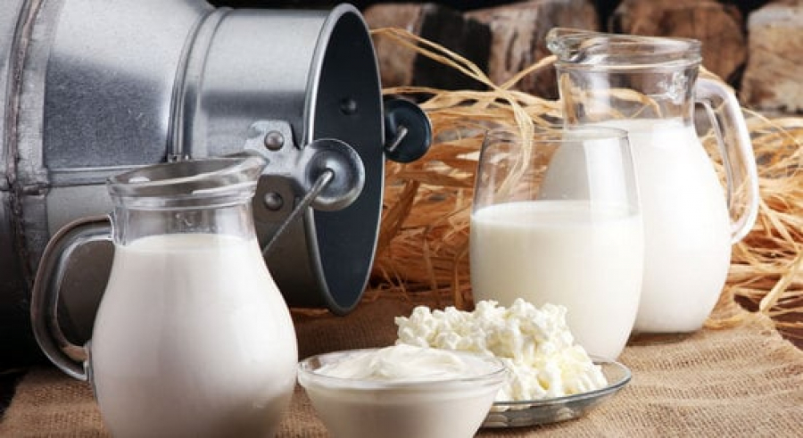 چه شد که اروپاییان اولیه ناگزیر به مصرف شیر شدند؟