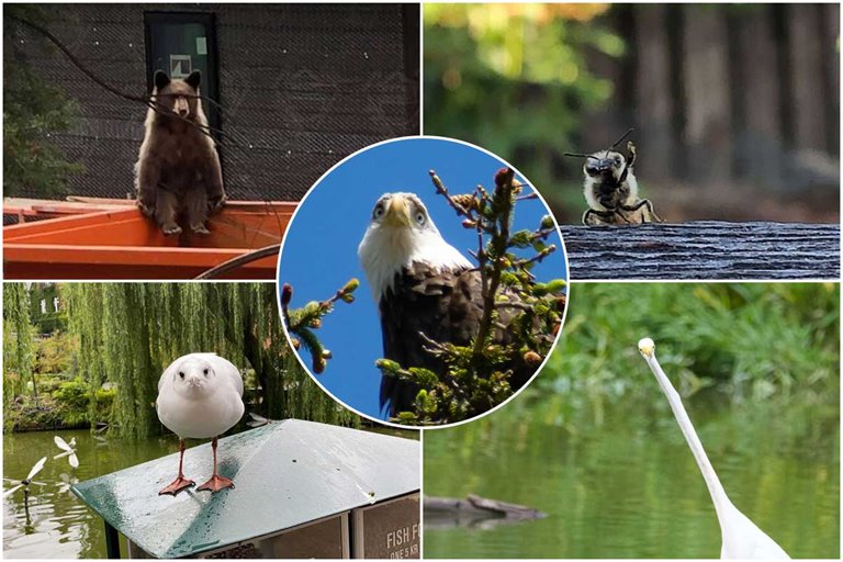نتایج جالب تلاش‌های ناموفق برای عکاسی از حیوانات در طبیعت