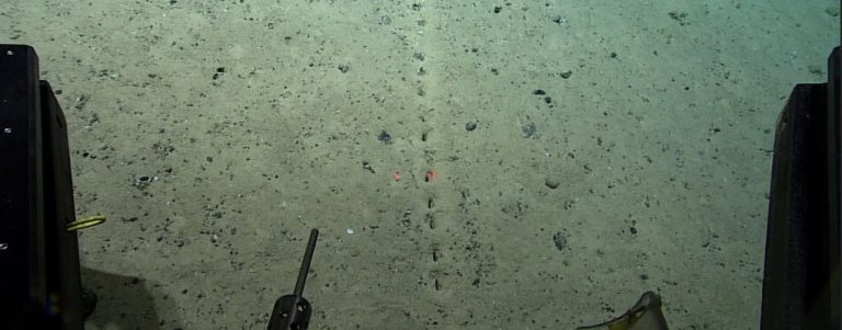 دانشمندان سوراخ‌های مرموزی در کف اقیانوس پیدا کرده‌اند که فعلا توضیحی در مورد ماهیت آنها ندارند
