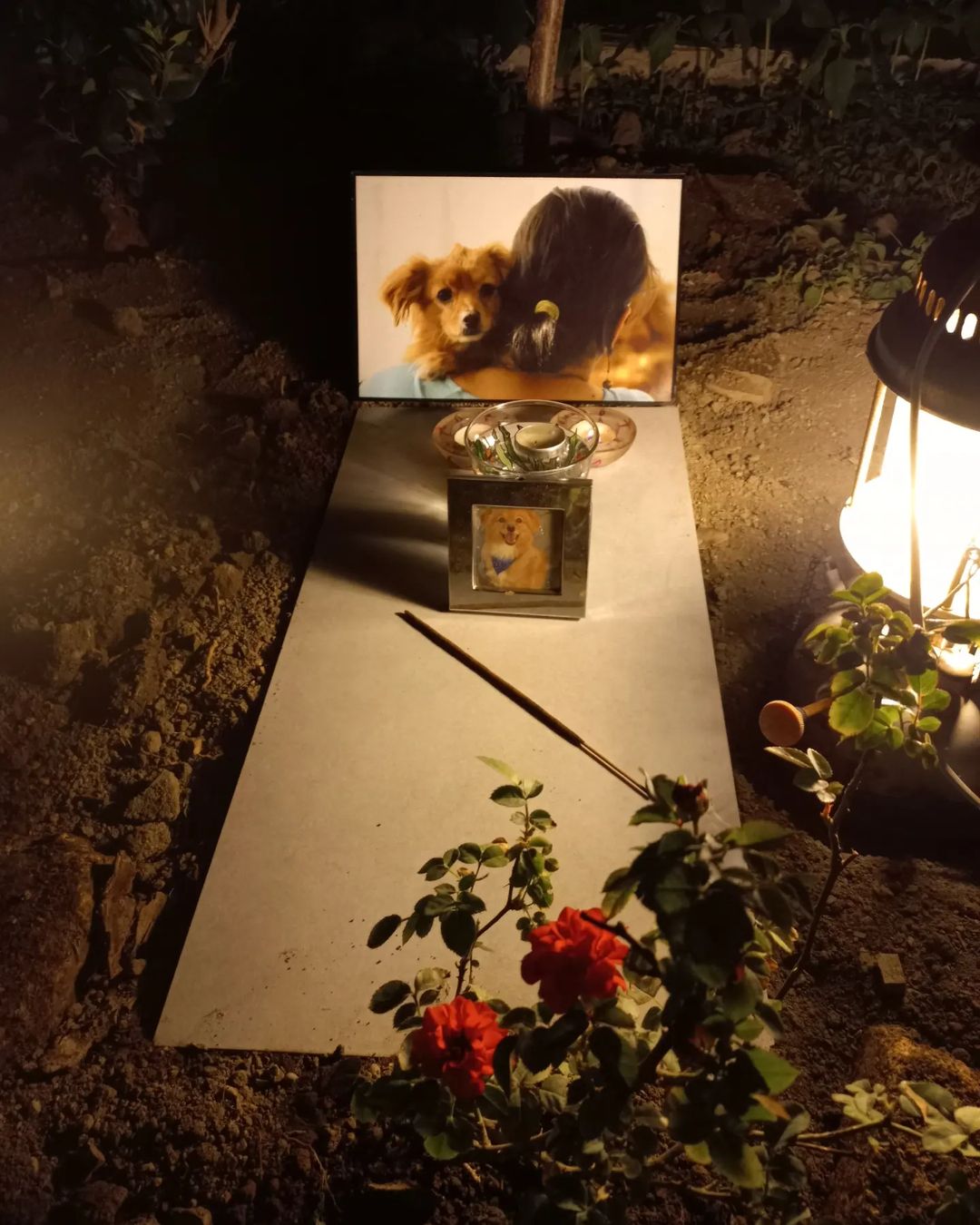 سوسن پرور تصاویر زیر را از درگذشت حیوان خانگی خود در اینستاگرام منتشر کرده است.