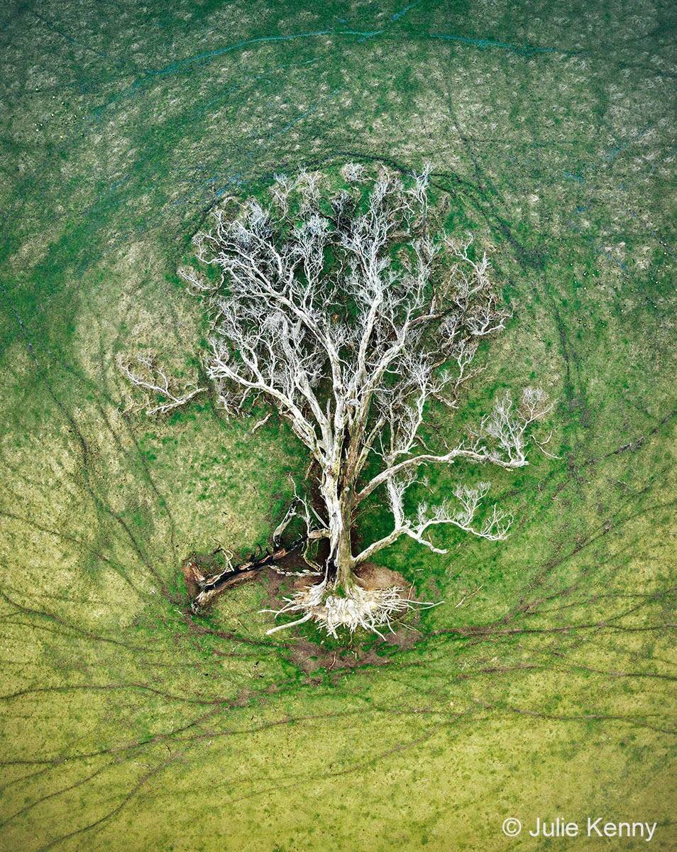 عکس‌های برگزیدۀ طبیعت استرالیا؛ سال ۲۰۲۲