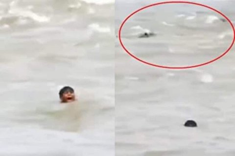 نجات کودک از غرق شدن در رودخانه پر از تمساح