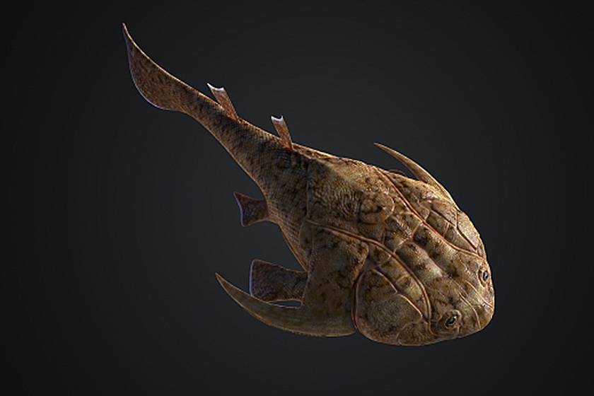 فسیل‌های ماهی باستانی عجیب‌بودن اجداد مهره‌دار ما را آشکار می‌کنند