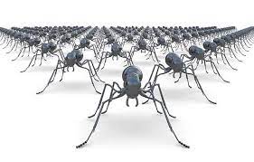 تعداد مورچه‌های کره‌زمین لو رفت