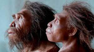 همزیستی ۵هزار ساله نئاندرتال‌ها با انسان‌ها
