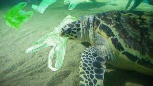 بلایی که پلاستیک به روز دریاها میاورد