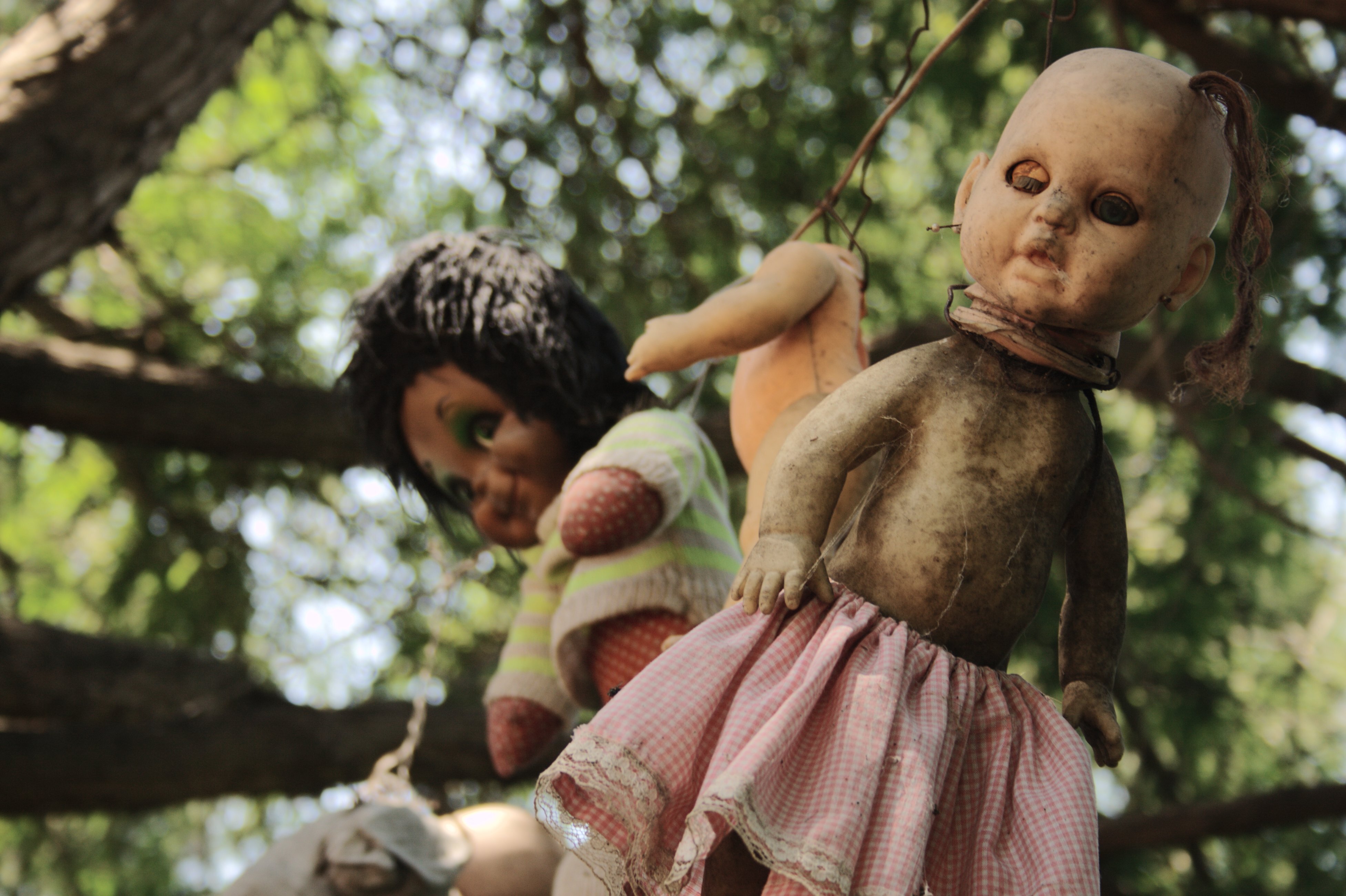جزیرۀ عروسک‌های مرده؛ در ترسناک‌ترین جزیرۀ مکزیک چه می‌گذرد؟